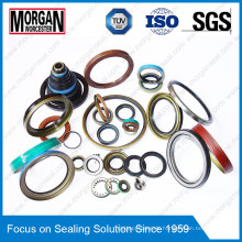 NBR/FKM/EPDM/PTFE/Viton Industrial Rubber Seal Ring